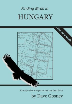 Finding Birds in Hungary