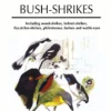 Shrikes and Bush-shrikes