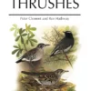 Thrushes