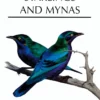 Starlings and Mynas