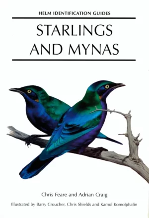 Starlings and Mynas