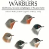 Sylvia Warblers