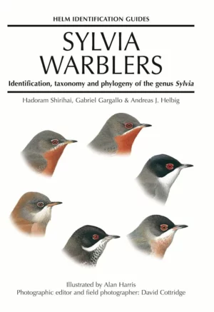 Sylvia Warblers