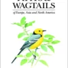 Pipits and Wagtails of Europe, Asia and North America