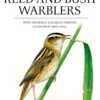 Reed and Bush Warblers