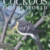 Cuckoos of the World