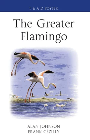 The Greater Flamingo