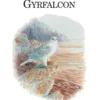 The Gyrfalcon