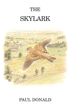 The Skylark