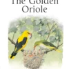 The Golden Oriole