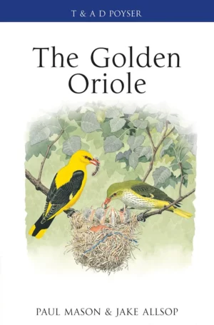 The Golden Oriole