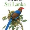 Birds of Sri Lanka