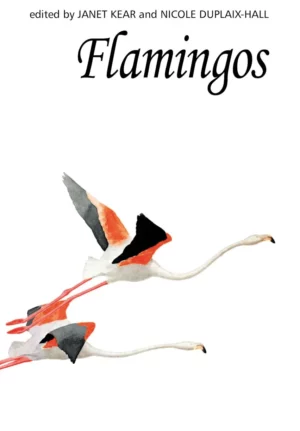 Flamingos