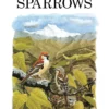 In Search of Sparrows