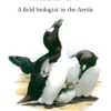 Great Auk Islands