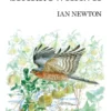 The Sparrowhawk