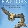 Flight Identification of Raptors