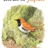 Field Guide to the Birds of Japan