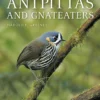 Antpittas and Gnateaters