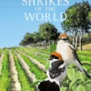 Shrikes of the World