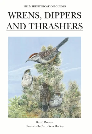 Wrens, Dippers and Trashers