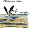 Estuary Birds of Britain and Ireland