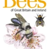 Field Guide to the Bees of Great Britain and Ireland