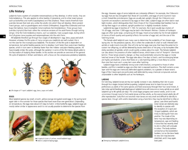 Field Guide to the Ladybirds of Great Britain and Ireland