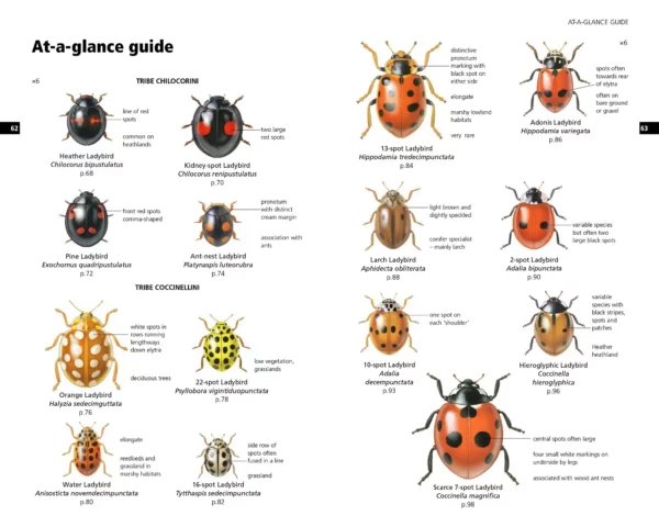 Field Guide to the Ladybirds of Great Britain and Ireland