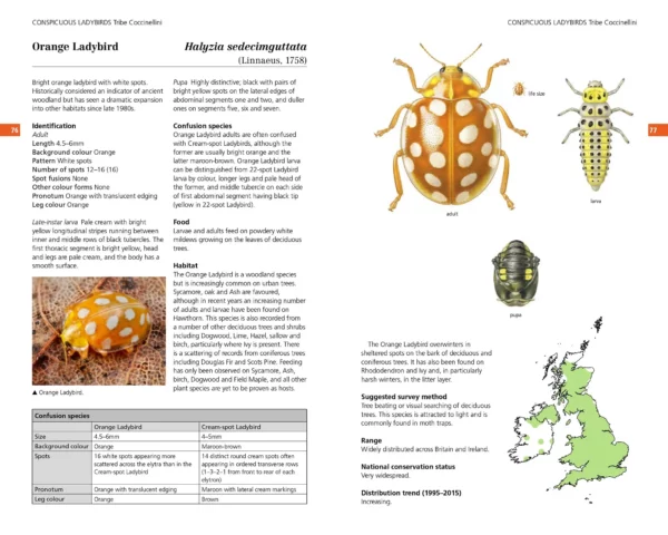 Field Guide to the Ladybirds of Great Britain and Ireland