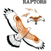 Flight Identification of European Raptors