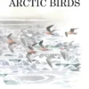 In Search of Arctic Birds