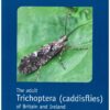 The Adult Trichoptera (Caddisflies) of Britain & Ireland