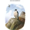 The Peregrine Falcon