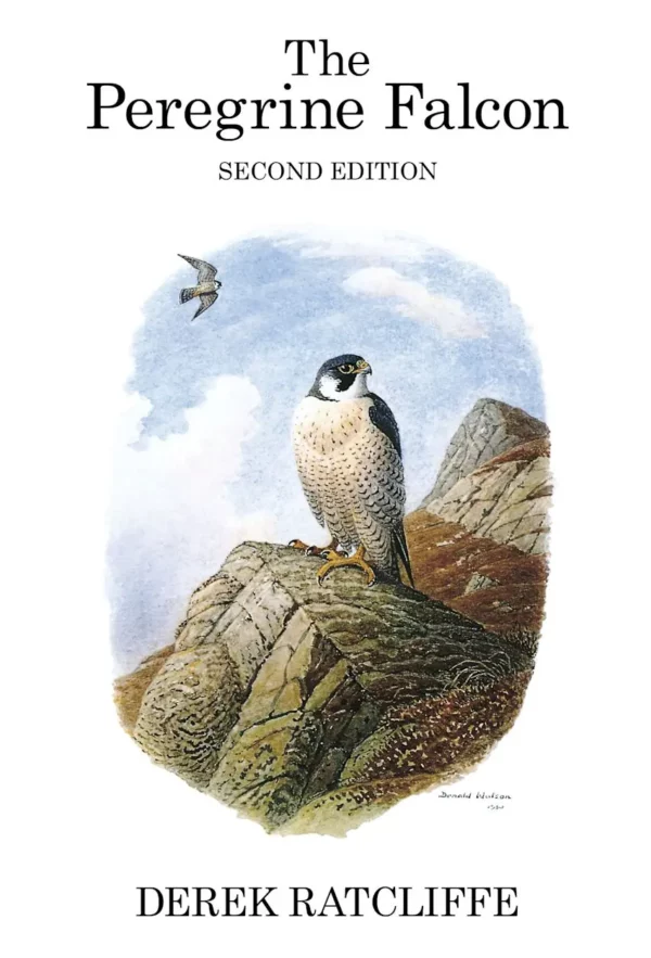 The Peregrine Falcon