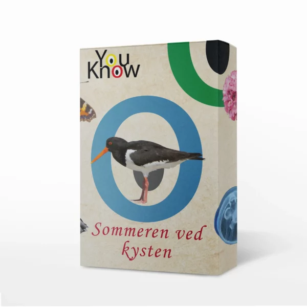 YouKnow - Sommeren ved kysten