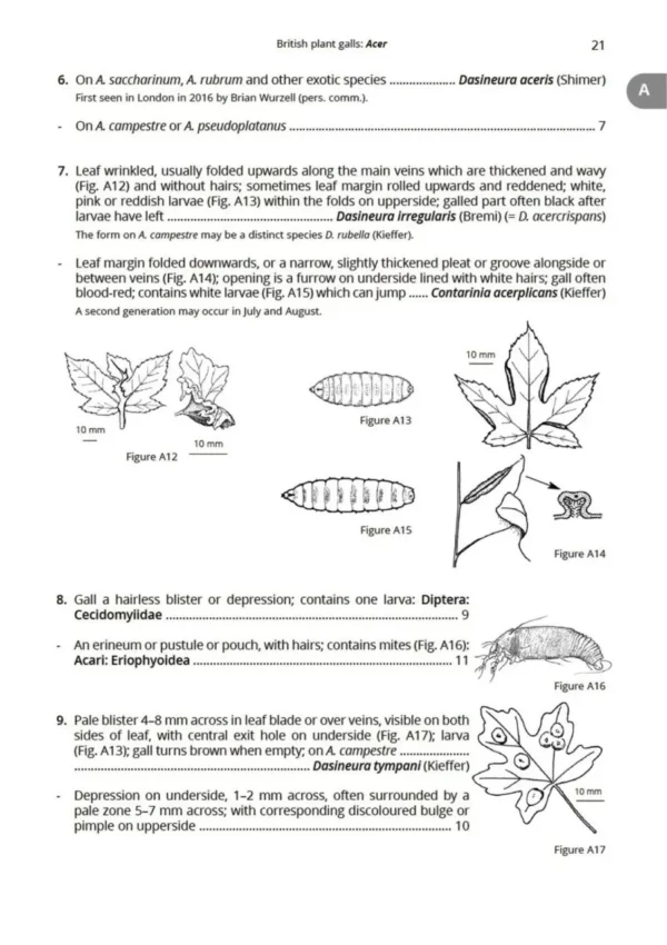 British Plant Galls, 3. ed