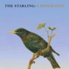 The Starling