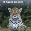 A Field Guide to the Larger Mammals of South America