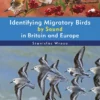 Identifying Migratory Birds by Sound in Britain and Europe