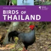 Birds of Thailand