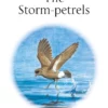 The Storm-petrels