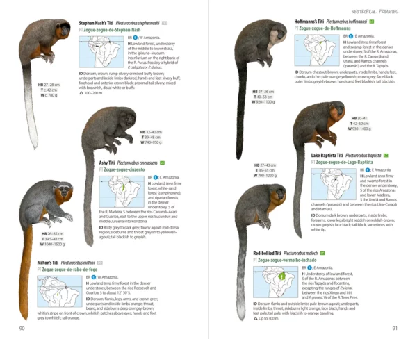 Neotropical Primates