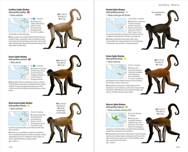 Neotropical Primates