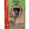 Neotropical Primates