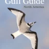 The Gull Guide