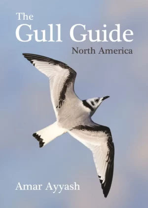 The Gull Guide