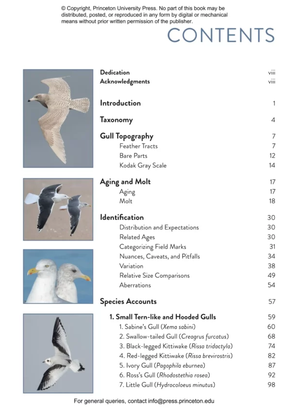 The Gull Guide