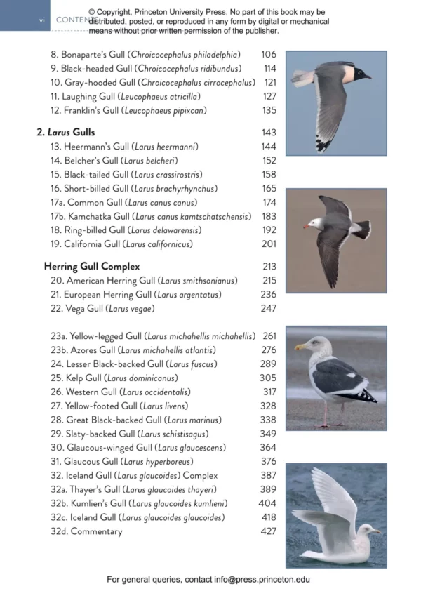 The Gull Guide