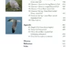 The Gull Guide